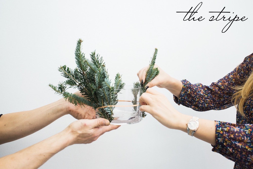 THE STRIPE, DECEMBER 2015