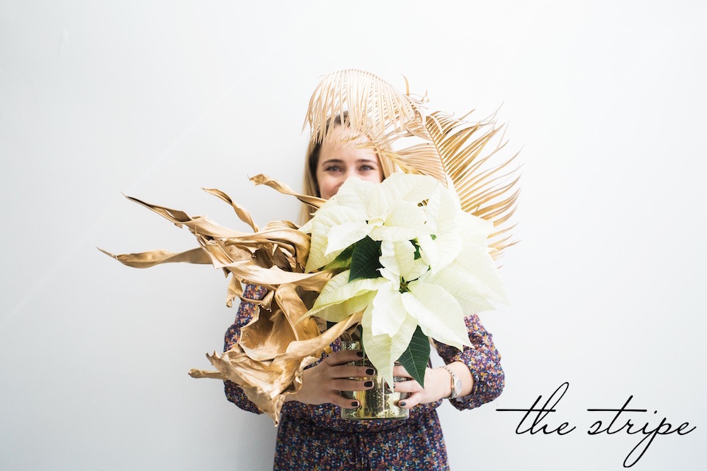 THE STRIPE, DECEMBER 2015