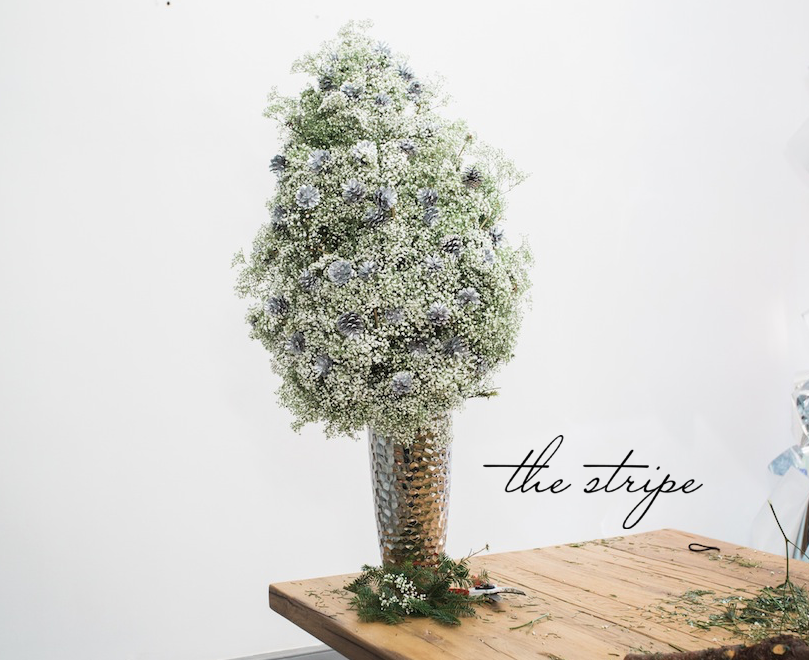THE STRIPE, DECEMBER 2015