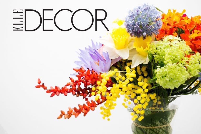 ELLE DECOR, FEBRUARY 2016