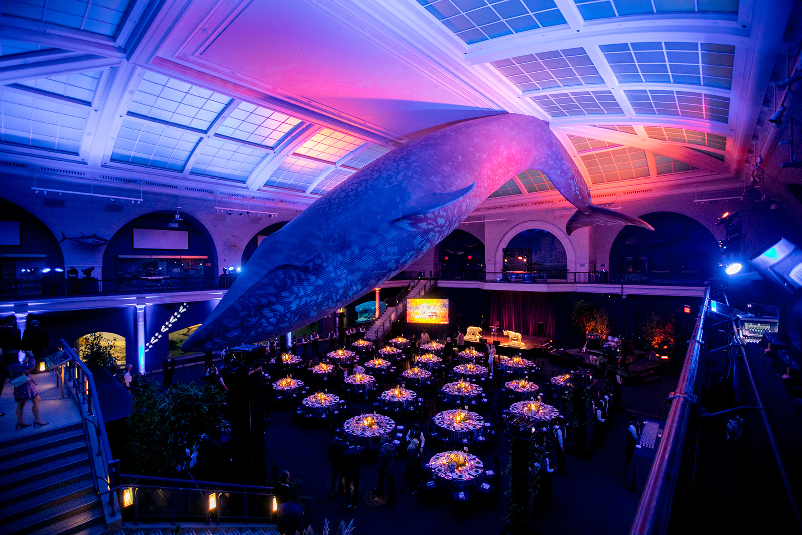 NFWF - BLACK HOUSE - MUSEUM OF NATURAL HISTORY