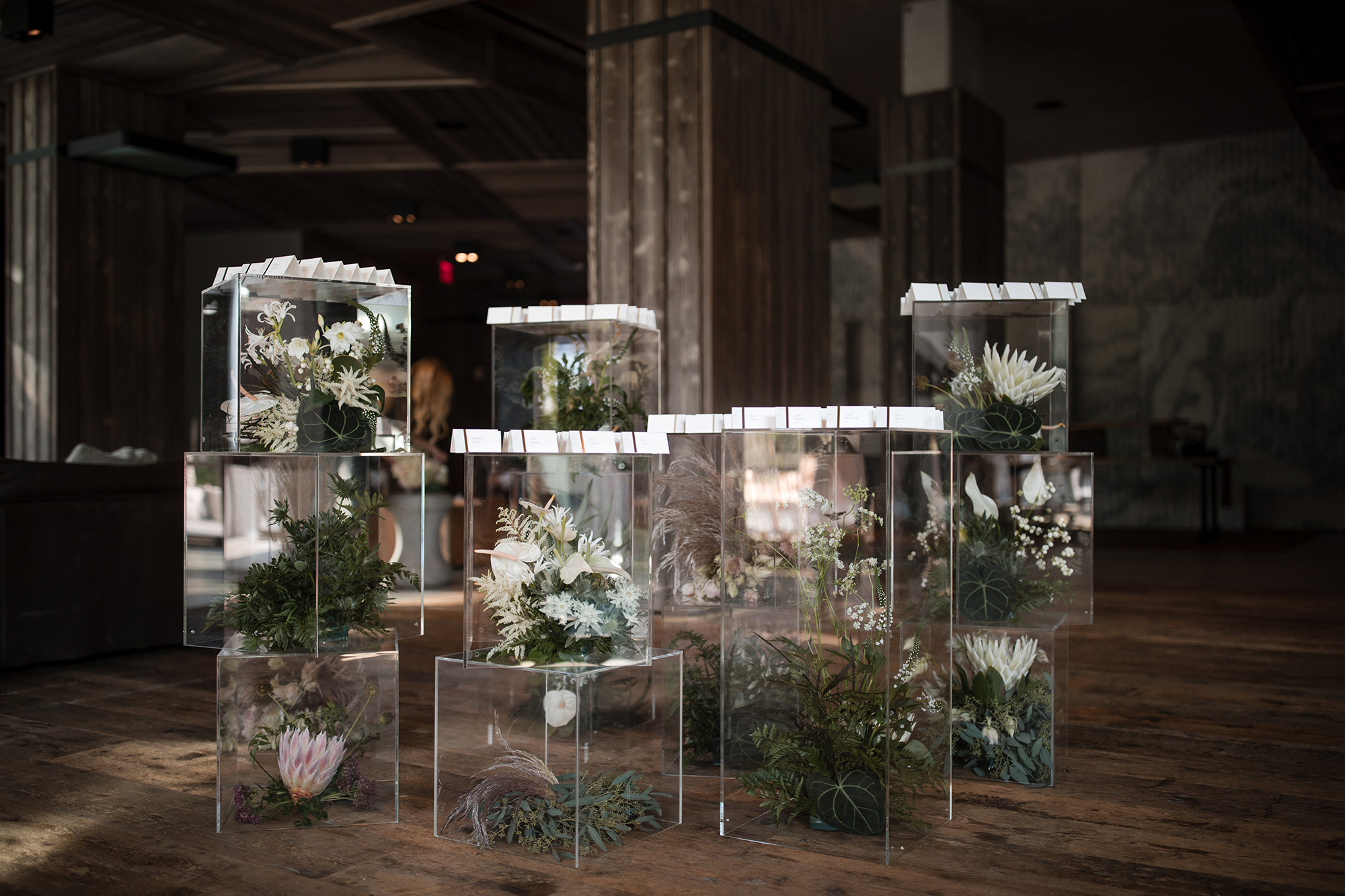 1 HOTEL BROOKLYN - DAUGHTER OF DESIGN 