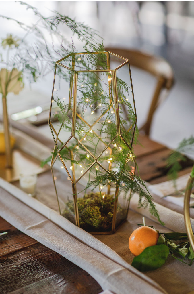 CEDAR LAKE ESTATES - SARA LANDON EVENTS